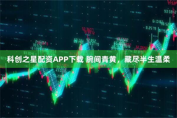 科创之星配资APP下载 腕间青黄，藏尽半生温柔