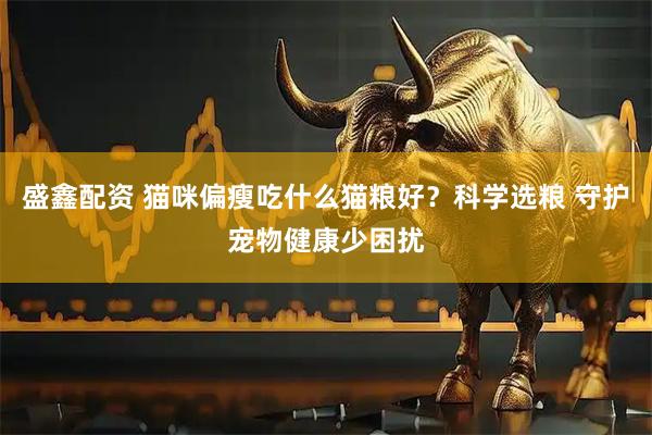 盛鑫配资 猫咪偏瘦吃什么猫粮好？科学选粮 守护宠物健康少困扰